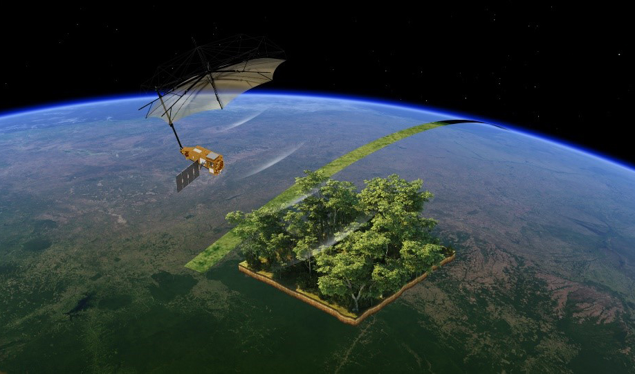 Countdown to Biomass: Earth observation experts await game-changing data