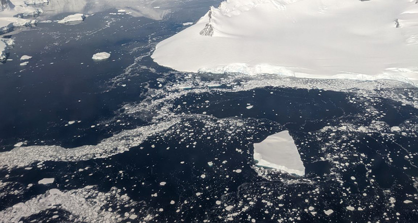 Sea Ice in Rothera, Antarctica