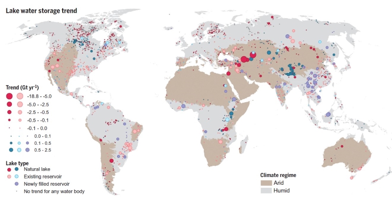 Widespread storage decline in large global lakes