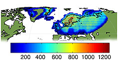 Kiruna Landsat TM GTC density map
