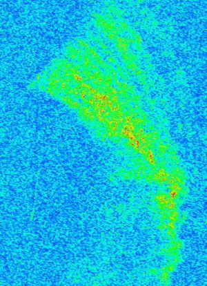 RADARSAT-2 image for oil spill detection