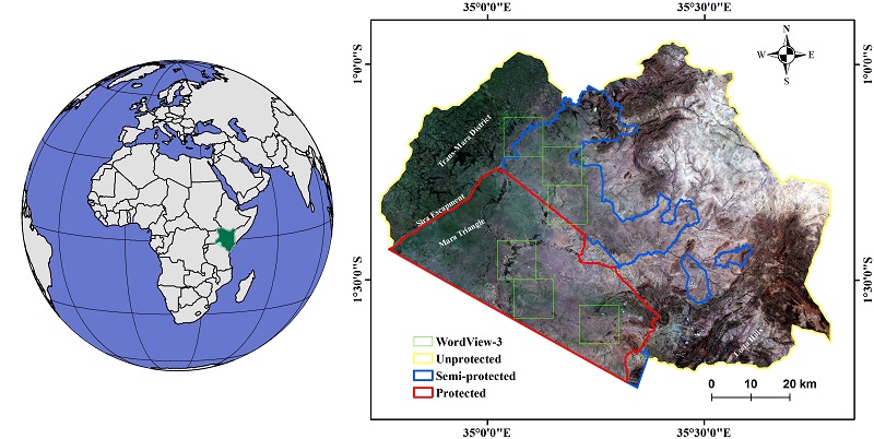 Deforestation in Brazil